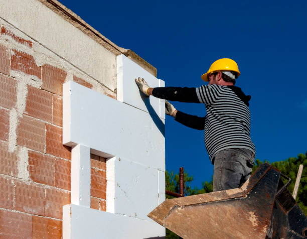 Best Residential Insulation in Meadow Les, AK